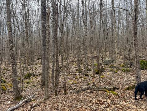 M11l41 Clements Road Monroe ME 04951