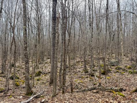 M11l41 Clements Road Monroe ME 04951