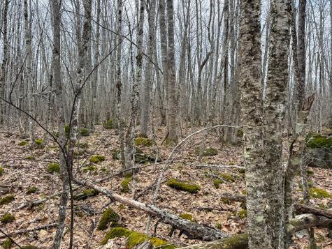 M11l41 Clements Road Monroe ME 04951