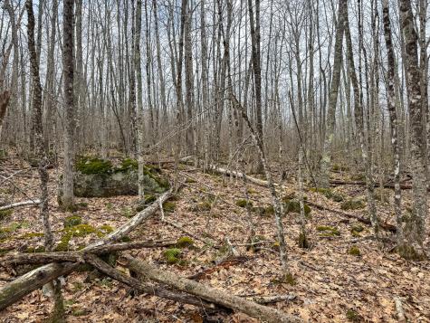 M11l41 Clements Road Monroe ME 04951