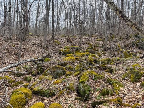 M11l41 Clements Road Monroe ME 04951