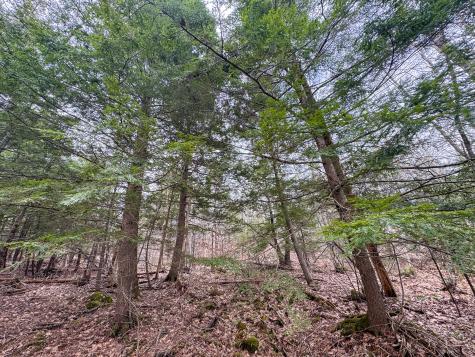 M11l41 Clements Road Monroe ME 04951