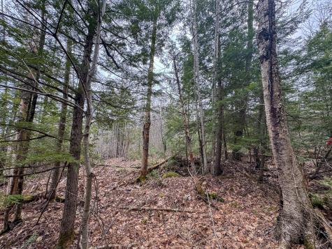 M11l41 Clements Road Monroe ME 04951