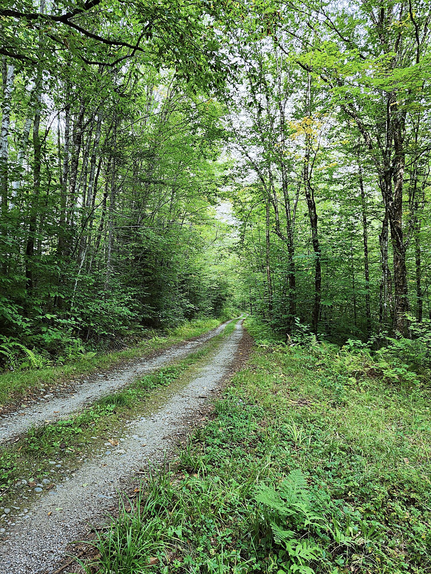 672 Meadow Lane Rumford ME 04276
