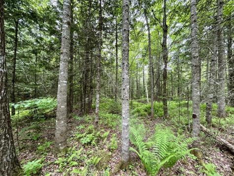 M5 L27-3 Marks Road Albion ME 04910