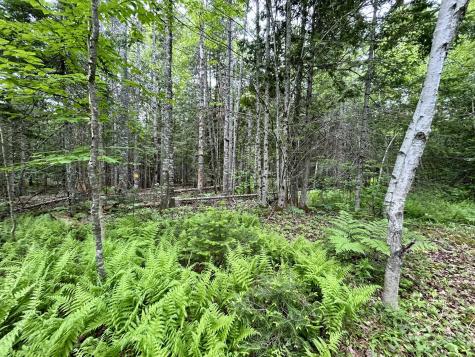 M5 L27-3 Marks Road Albion ME 04910