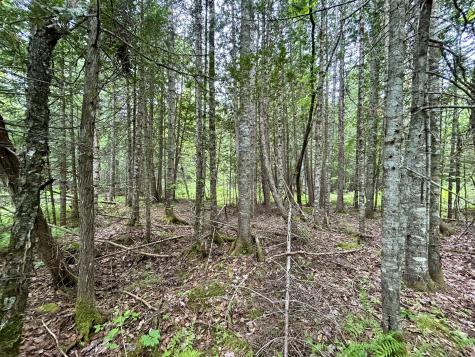 M5 L27-3 Marks Road Albion ME 04910