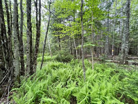 M5 L27-3 Marks Road Albion ME 04910