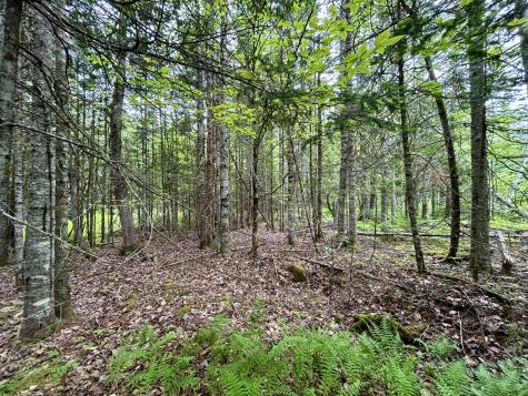 M5 L27-3 Marks Road Albion ME 04910