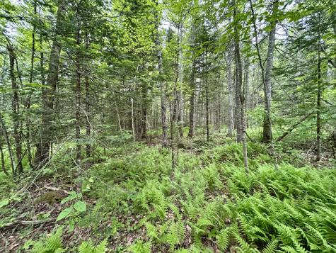 M5 L27-3 Marks Road Albion ME 04910