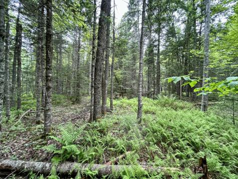 M5 L27-3 Marks Road Albion ME 04910