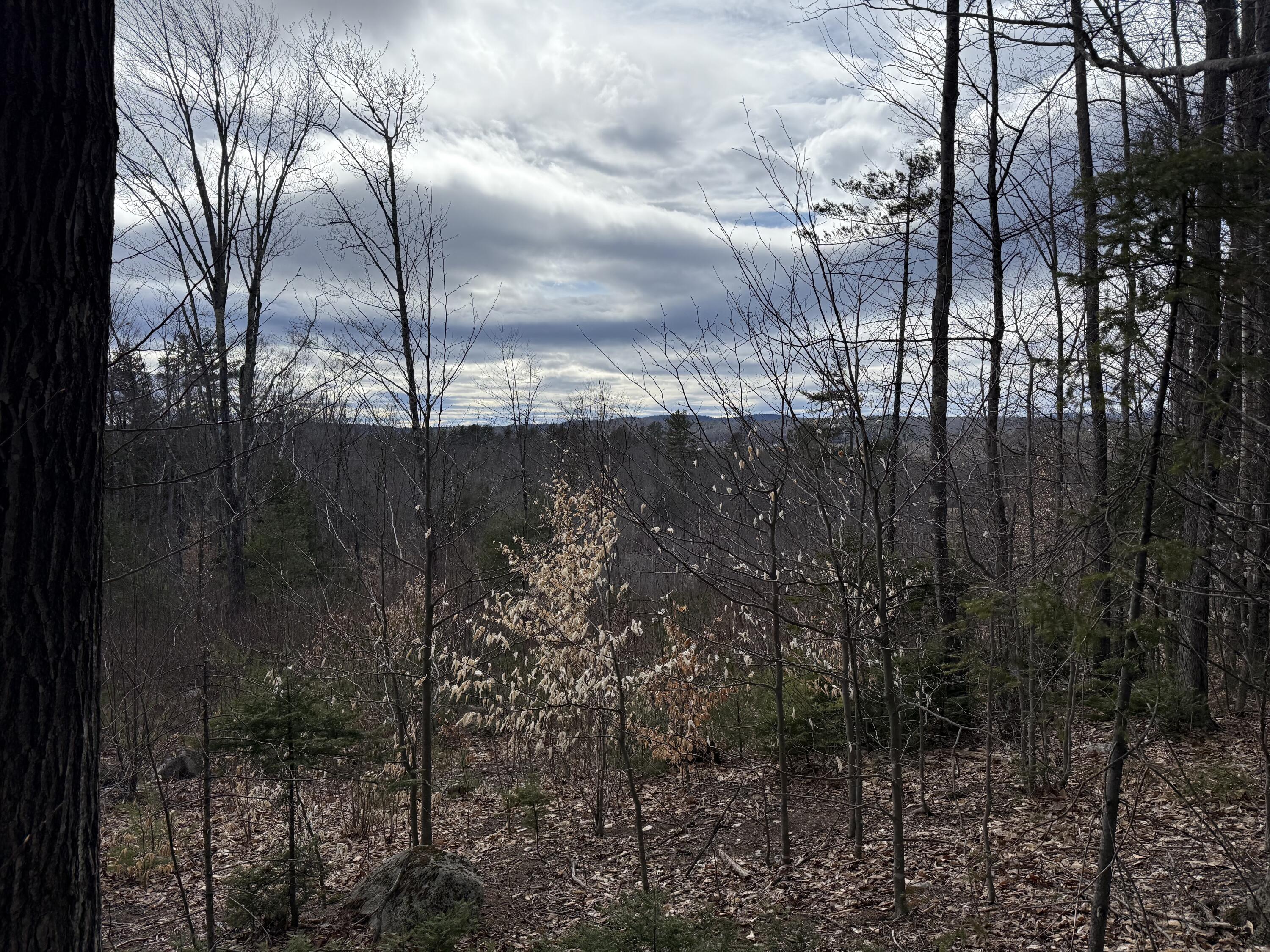 Lot #1 Moose Hill Road Livermore Falls ME 04254