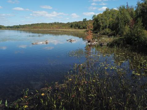 Tbd Dexter Road Saint Albans ME 04971