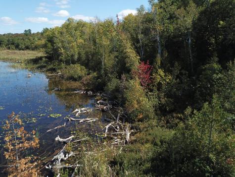 Tbd Dexter Road Saint Albans ME 04971