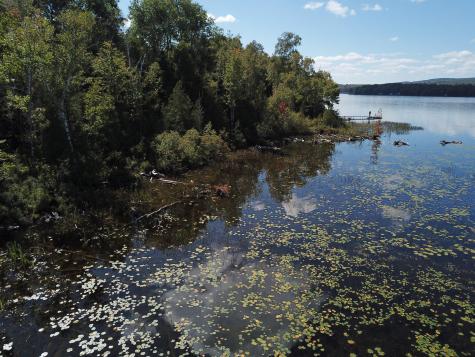 Tbd Dexter Road Saint Albans ME 04971