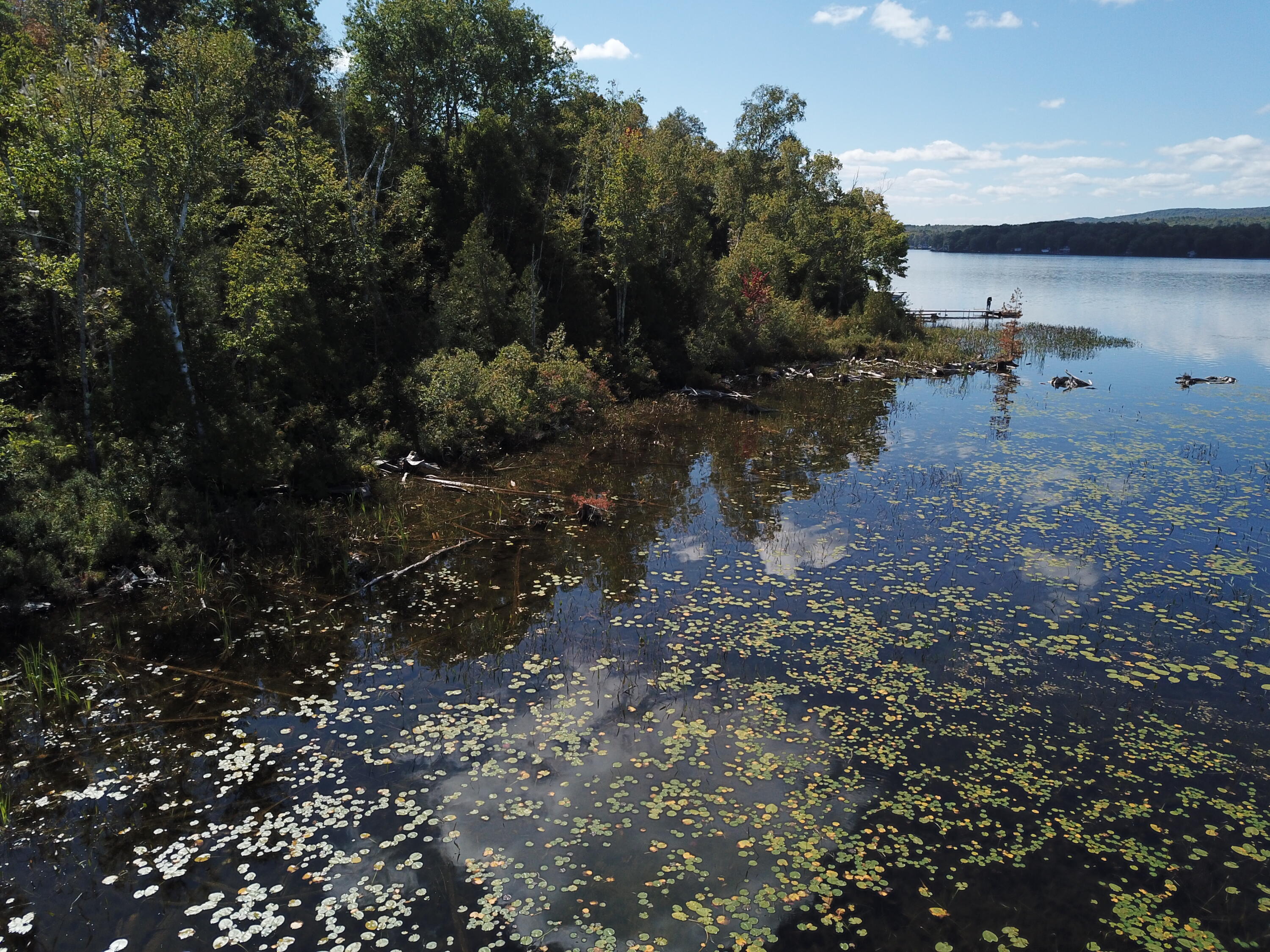 Tbd Dexter Road Saint Albans ME 04971