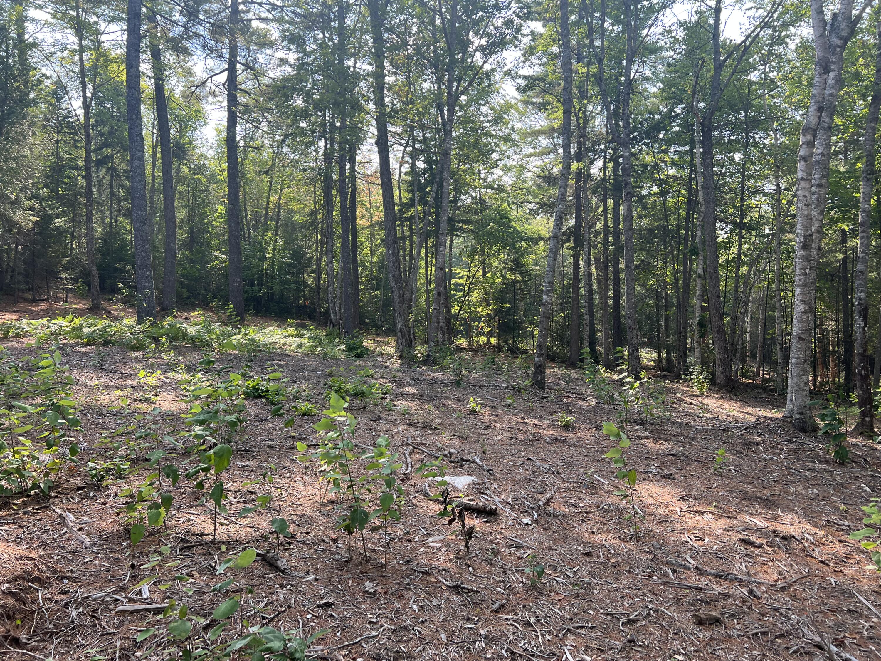 Lot 7 Jesse's Beach Way Ellsworth ME 04605