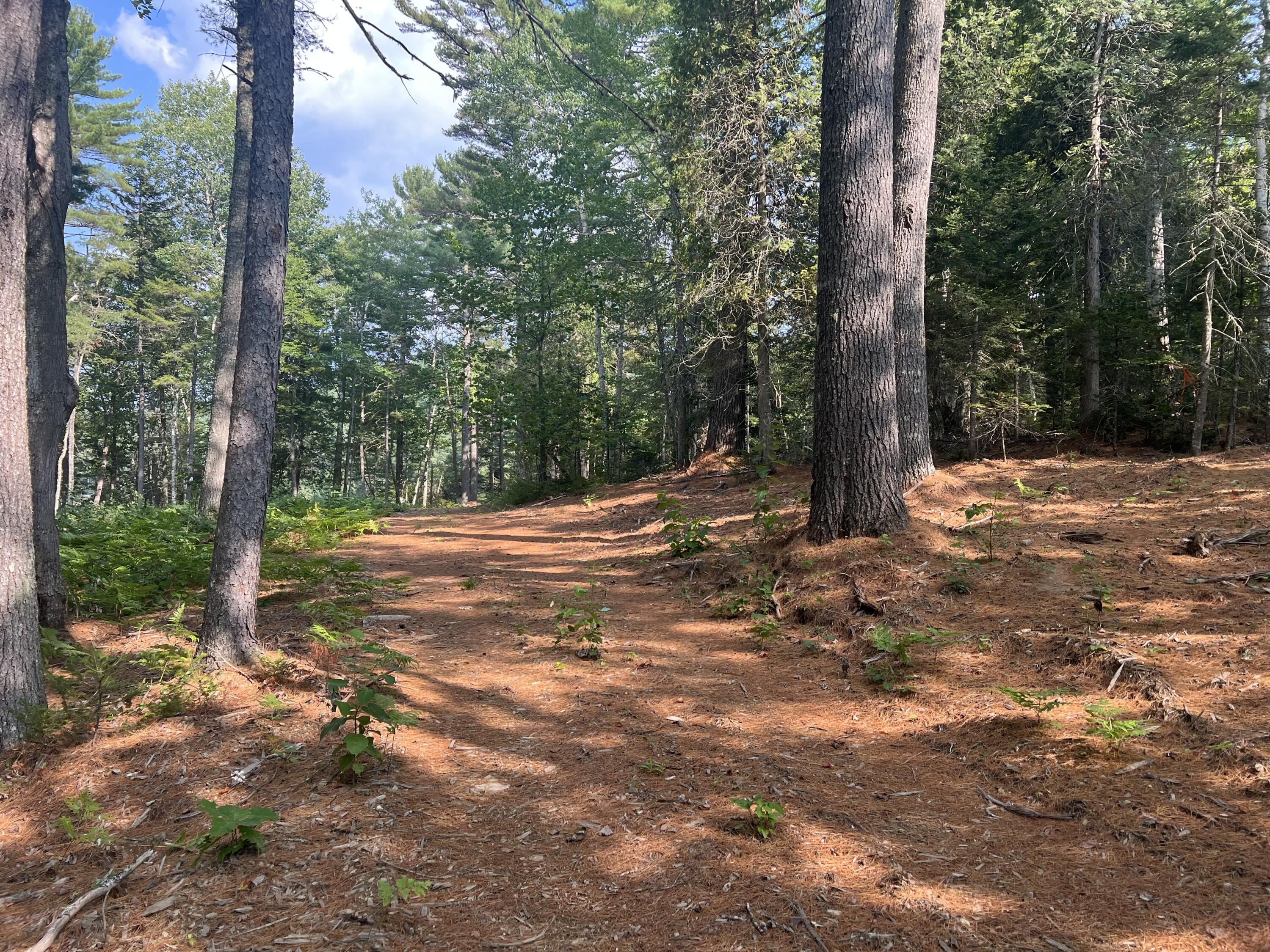 Lot 7 Jesse's Beach Way Ellsworth ME 04605