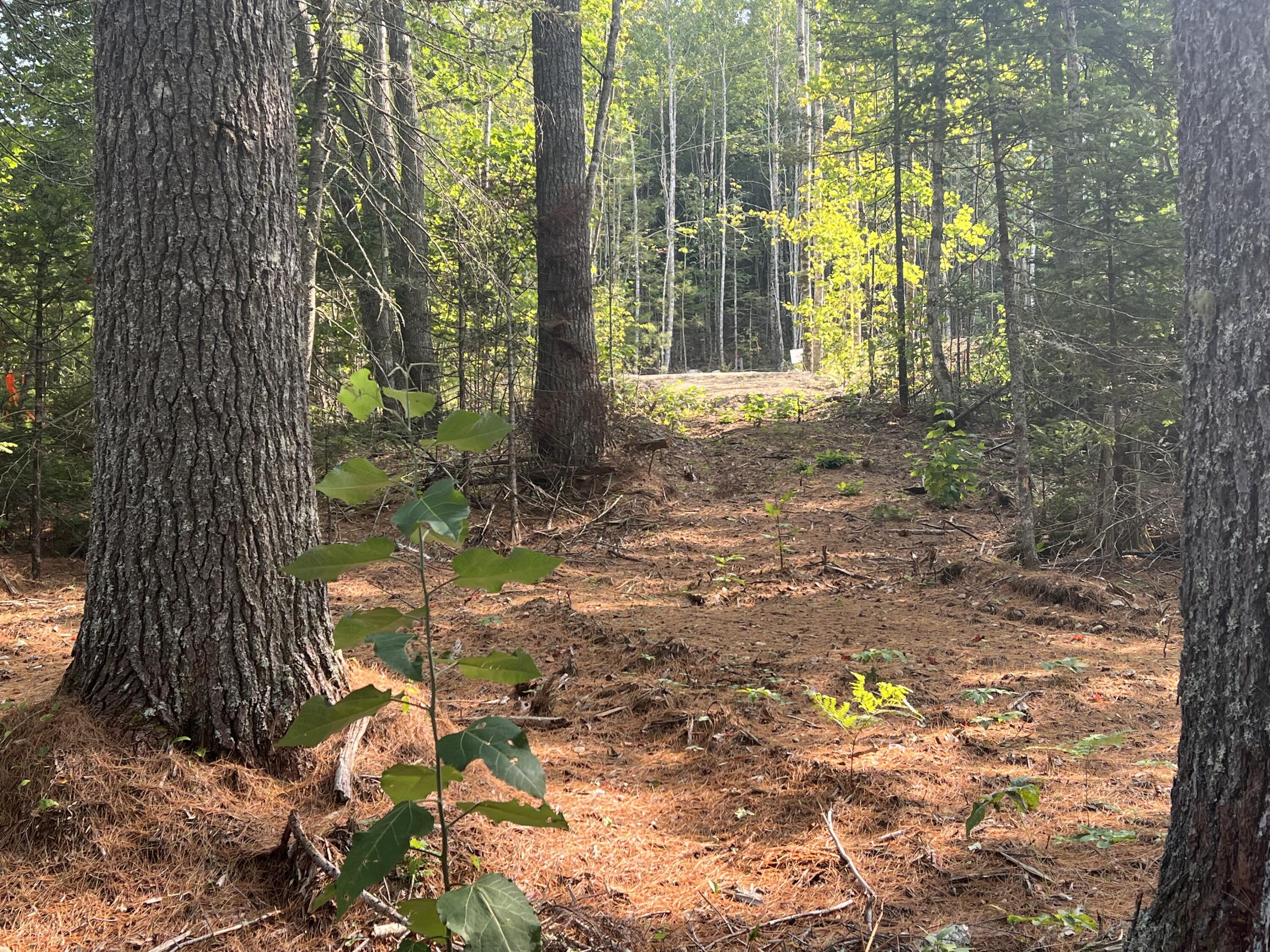 Lot 7 Jesse's Beach Way Ellsworth ME 04605