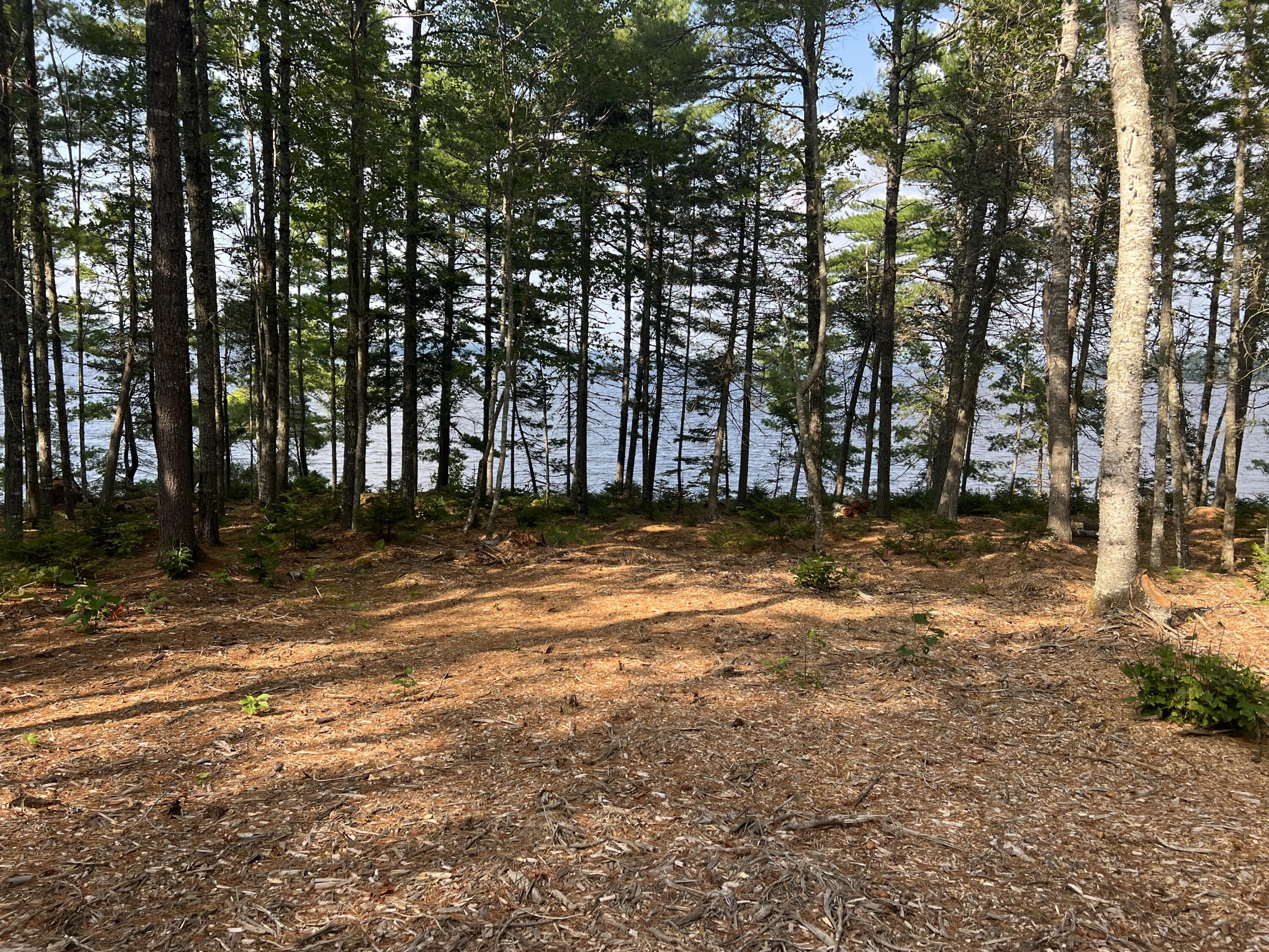 Lot 7 Jesse's Beach Way Ellsworth ME 04605