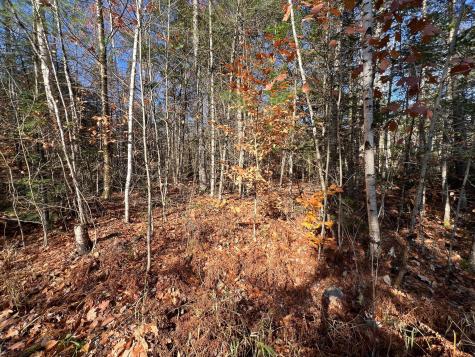 Map 26 Lot 3 Estate Drive Saint Albans ME 04971