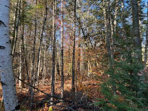 Map 26 Lot 3 Estate Drive Saint Albans ME 04971