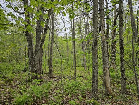 681 Mile Hill Road New Sharon ME 04955