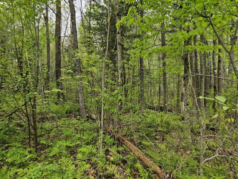 681 Mile Hill Road New Sharon ME 04955