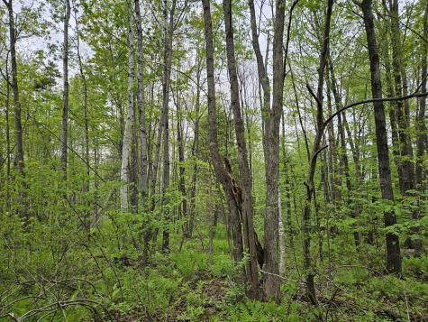 681 Mile Hill Road New Sharon ME 04955