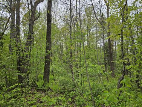 681 Mile Hill Road New Sharon ME 04955