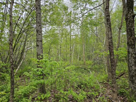 681 Mile Hill Road New Sharon ME 04955