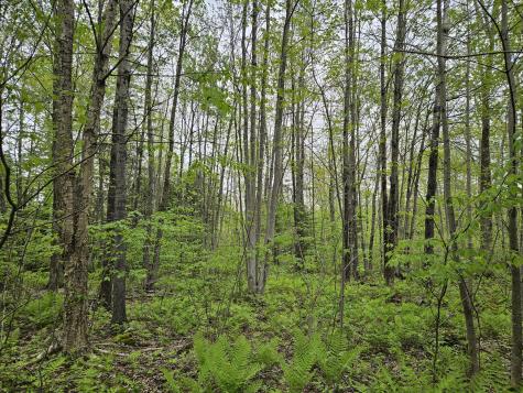 681 Mile Hill Road New Sharon ME 04955