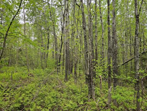 681 Mile Hill Road New Sharon ME 04955