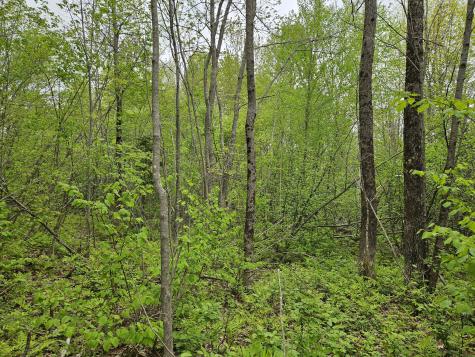 681 Mile Hill Road New Sharon ME 04955