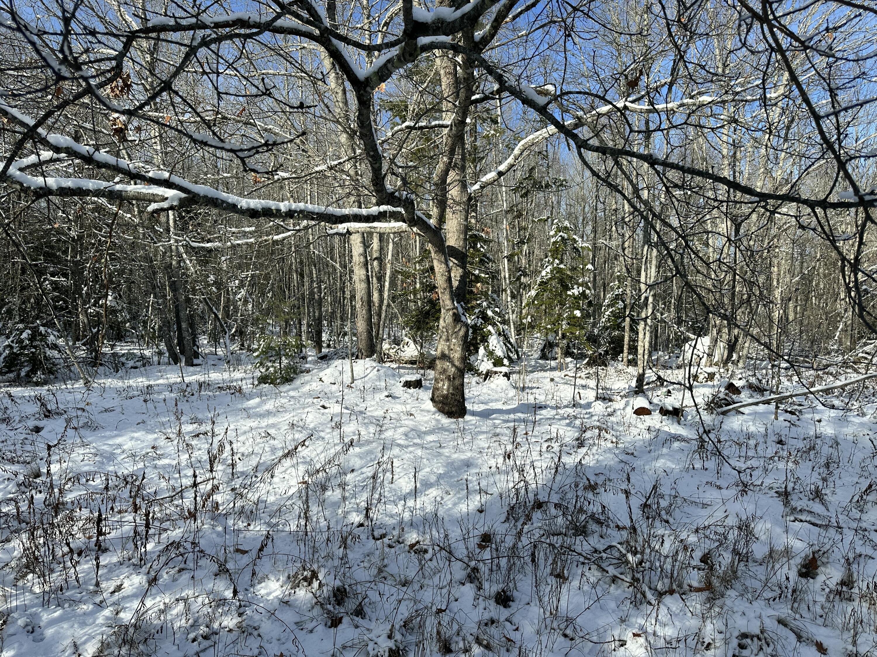 278 Mariaville Road Ellsworth ME 04605