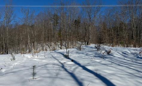 299 Intervale Road Jay ME 04239