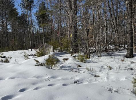 299 Intervale Road Jay ME 04239