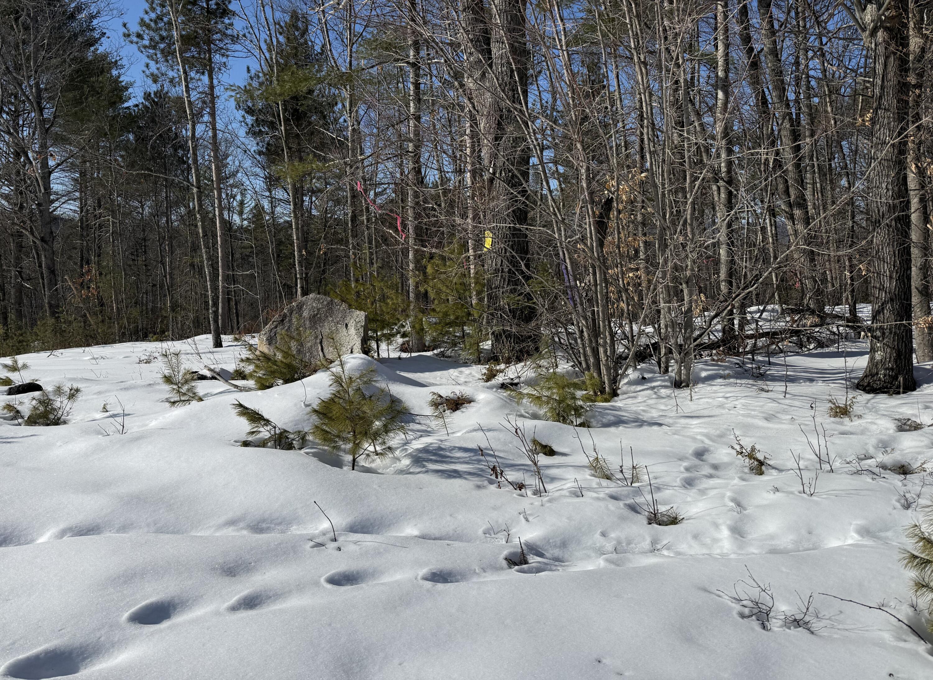 299 Intervale Road Jay ME 04239