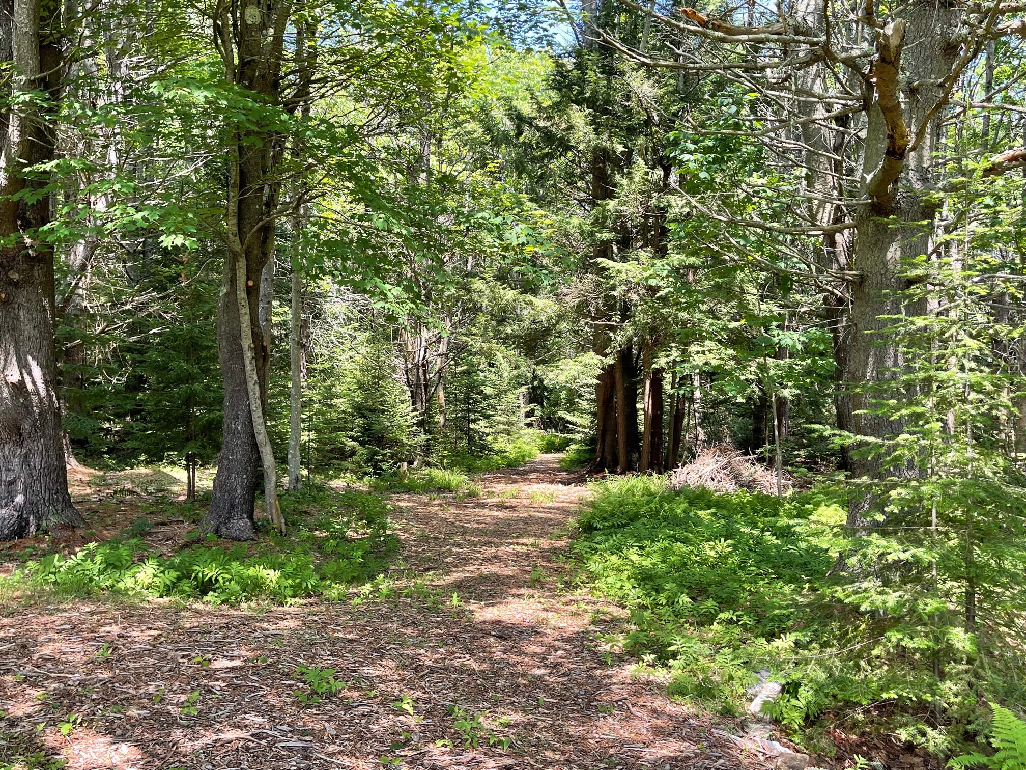 Lot 13b Pleasant Hill Road Brunswick ME 04011