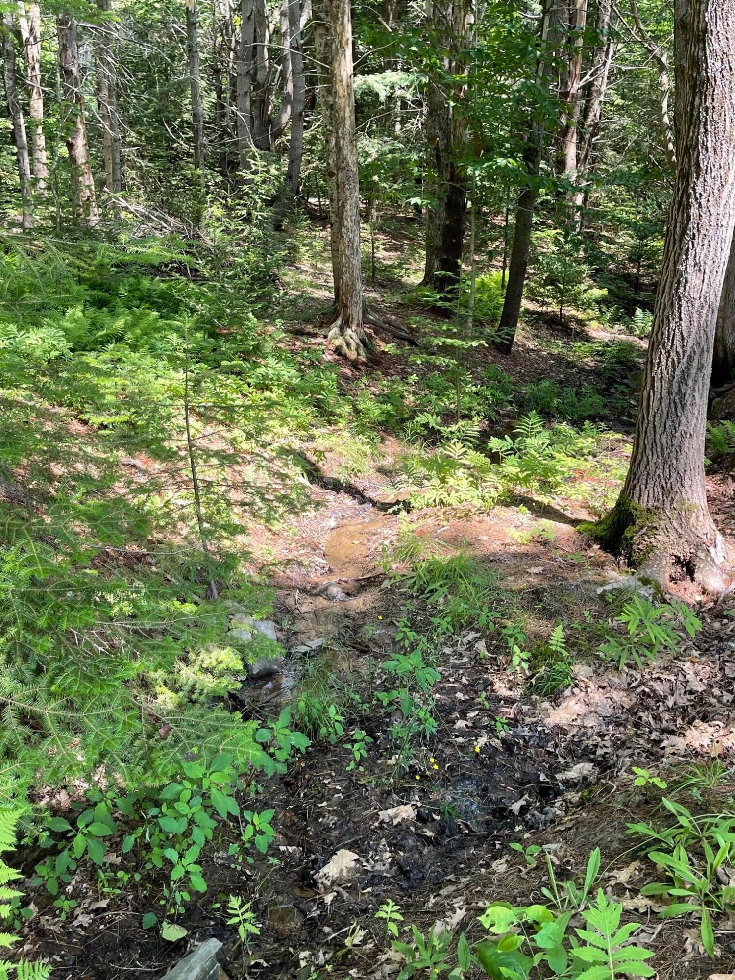 Lot 13b Pleasant Hill Road Brunswick ME 04011