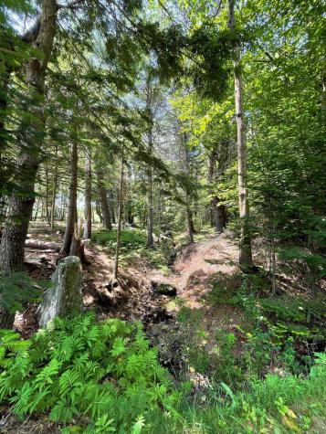 Lot 13b Pleasant Hill Road Brunswick ME 04011