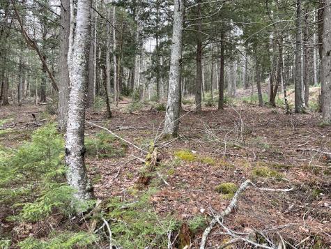 0 Wood Road Jefferson ME 04348