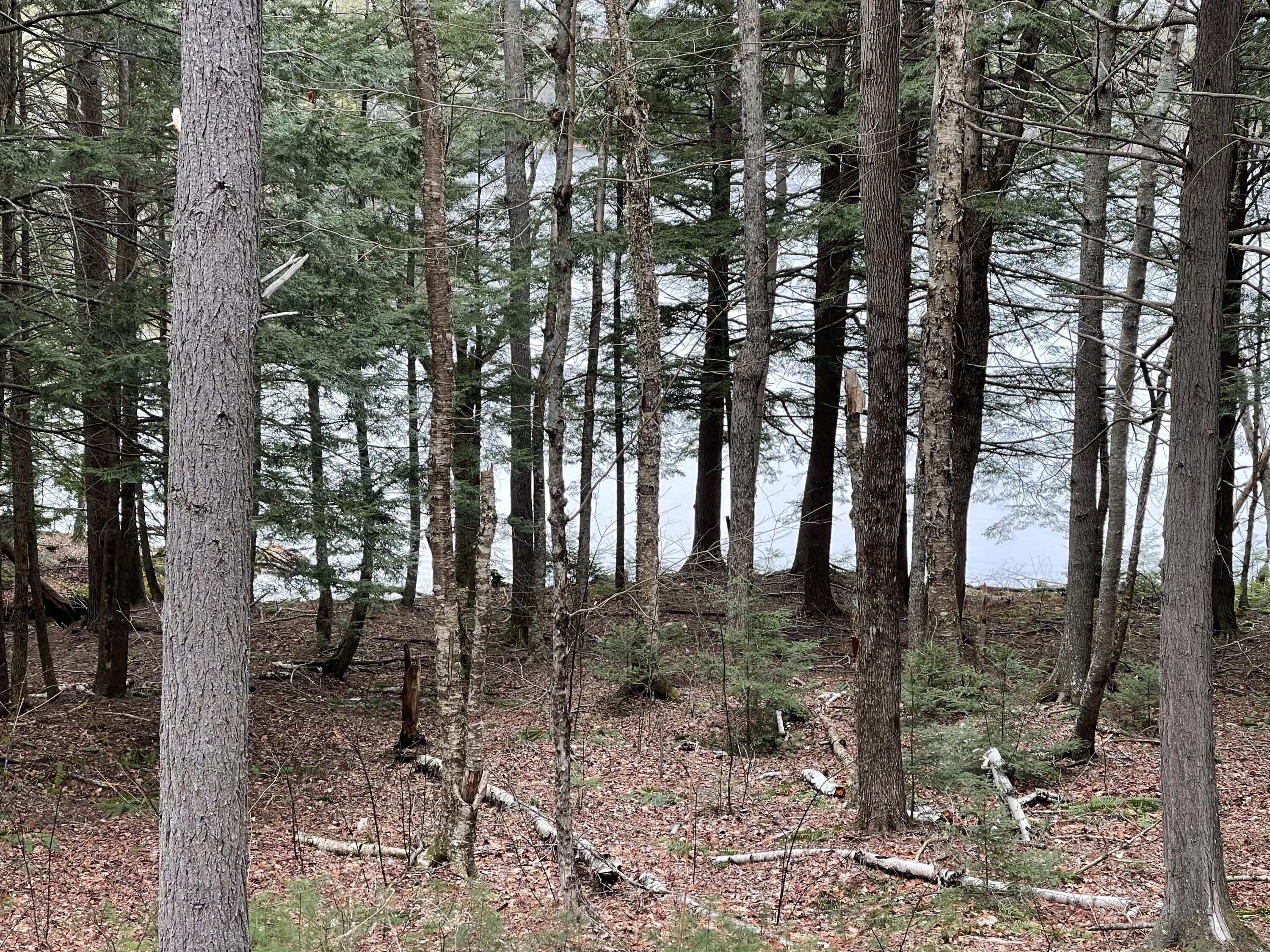 0 Wood Road Jefferson ME 04348