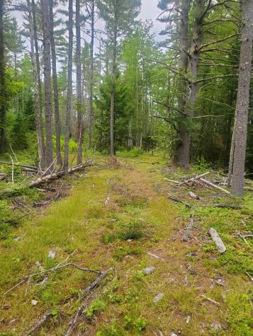 Map 52 Lot 21 Montville ME 04941