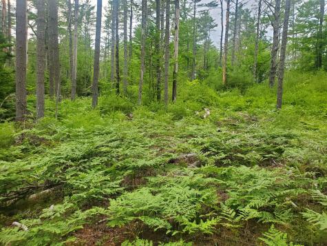 Map 52 Lot 21 Montville ME 04941