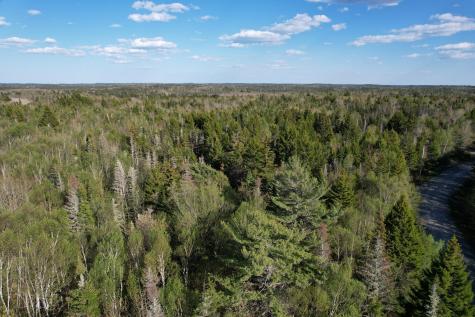 Lot 009 Off Of Reynolds Brook Road Whiting ME 04691