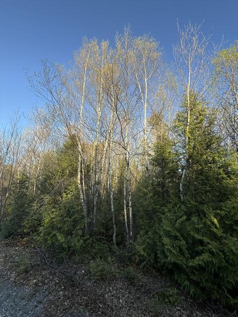 Lot 009 Off Of Reynolds Brook Road Whiting ME 04691