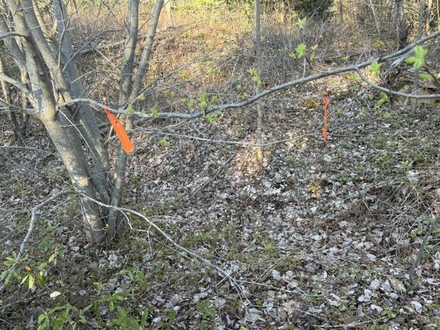 Lot 009 Off Of Reynolds Brook Road Whiting ME 04691