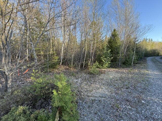 Lot 009 Off Of Reynolds Brook Road Whiting ME 04691