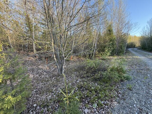 Lot 009 Off Of Reynolds Brook Road Whiting ME 04691